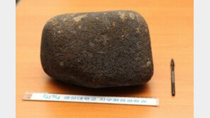 45억 살 진주 운석, 태양계 나이와 비슷… 소유주 270억 요구