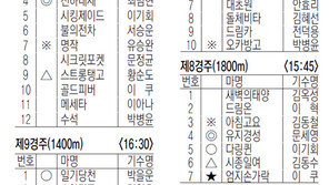 11월 22일, 23일 경마 출마표