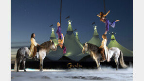 [스마트 컨슈머]쉼없이 달려온 2014년, 최고의 가족공연으로 힐링을!