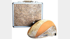 발모캡Hair660, 모자처럼 쓰고 탈모 치료하는 저출력 레이저기