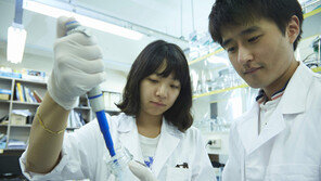 [세종대학교]바이오융합-나노신소재-호텔관광 특성화