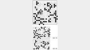 [바둑]제58기 국수전… 승착 170