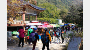 설악산 비룡폭포-울산바위 주변 식당 2014년내 철거