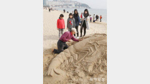 [부산/경남]“해운대에 거대 새우 나타났네”