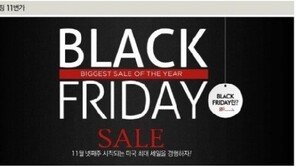 블랙프라이데이, 최대 80% 세일…‘할인 경쟁 붙는다’