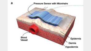 ‘반창고’의 변신? 심혈관 질환 진단해 노트북-스마트폰 전송