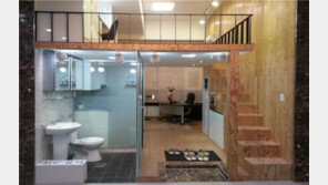 지하철 7호선 초역세권! “풀옵션,복층형 오피스” 분양개시