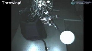 ‘야구 천재’ 로봇, 위험 회피 기술에 쓰인다?