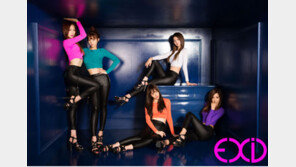 EXID ‘위아래’ 역주행 인기…내친김에 방송 재개?