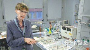 첨단 정보기술 - 총체적 협업 시스템 활용해 차근차근