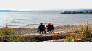 [Money&Life]연금저축으로 세제혜택 노리고, 주택연금으로 생활비 받자