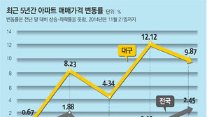 앗 뜨거, 대구-부산 집값… 2015년에도?