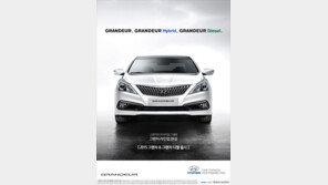 [2014 스포츠동아 광고대상] 그랜저, 3가지 엔진에 고급스러움 더하다