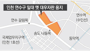 감정가만 1조원 토지, 법원경매로 나와