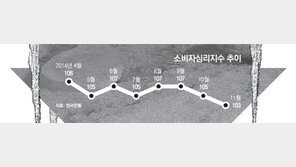 얼어붙은 소비심리