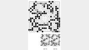 [바둑]제58기 국수전… 2집 반 정도의 차이