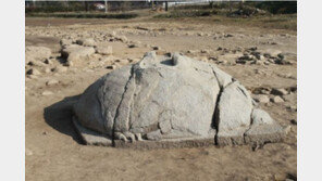 강릉서 고려 시대 귀부 발견, 생동감 있게 조각… 머리 부분은 결실