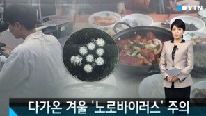 노로바이러스 증상, ‘구토물과 분변’ 2차 감염 가능성 있어