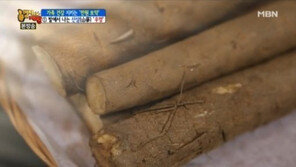 우엉의 효능, 다이어트·변비에 최고… 치매 예방 효과까지?