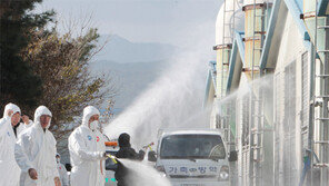 [대구/경북]포항시, AI 긴급 방역