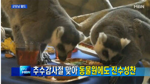 동물들의 추수감사절, 칠면조 모양 음식-와인색 음료 ‘특별 만찬’