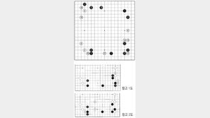 [바둑]제58기 국수전… 미니 중국식의 변형