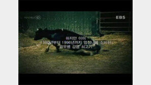 포르투갈 광우병 발생, 지난해 제외하고 거의 매년… 국내 수입은?