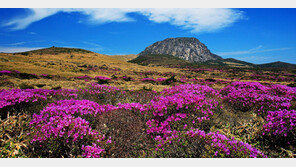 제주특별자치도, ‘자연·문화·사람의 가치를 키우는 제주’ 만든다