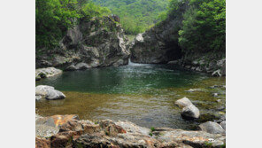 양구군, 상쾌하다, 신난다, 부자동네 양구!