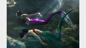 한화 63스퀘어 새프로그램 론칭