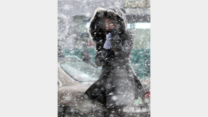 한파 몰고온 동장군