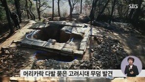 순창 고려 시대 무덤 발굴… 무덤 주인, 고려 시대 최고위 계층