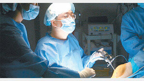 조인트힐병원, 퇴행성 관절염, 제대혈 줄기세포 이식술이 효과적