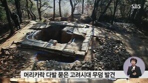 순창 고려시대 무덤 발굴, 머리카락 다발 발견… 주인은 누구?