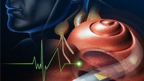 국내 연구진, 배터리-마이크 필요없는 인공 달팽이관 핵심소자 개발