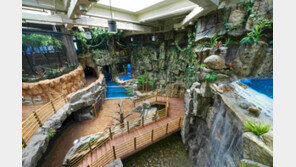 아쿠아플라넷 일산, 낭만 자유로 패키지 판매