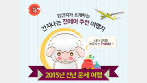 진에어 홈페이지에서 운세 서비스 오픈