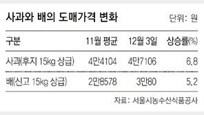 2014년 과일 풍년이라더니… 가격은 들썩들썩