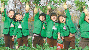 [대구/경북]“우리가 뽑은 무, 이만큼 커요”