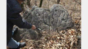 [단독]강화서 청동기시대 암각화 발견