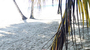 [화보] ‘엉덩이 미녀’ 반누드 화보 촬영 현장 포착