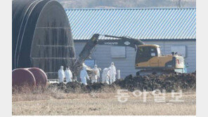 충북 진천 돼지농가 구제역 확진, 확산 가능성은?