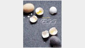[우먼 동아일보] 48g의 완벽함! Egg