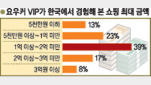 VIP 관광 요우커 8% “한국서 3억원 이상 썼다”