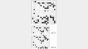 [바둑]제58기 국수전… 맥점 100