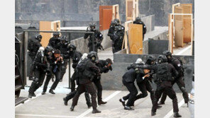 경찰특공대, 테러 제압 입체작전