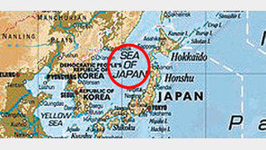 이케아 “일본해 표기 지도, 전세계 판매 중단”