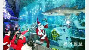 [부산/경남]상어가 노는 수중 산타마을