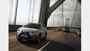 렉서스 NX300h, 유로 NCAP 안전성 평가서 최고등급 획득