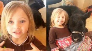 소녀와 송아지의 우정 영상, 송아지 머리맡에 앉은 모습이 ‘감동’